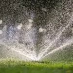 garden watering system maintaining healthy plants