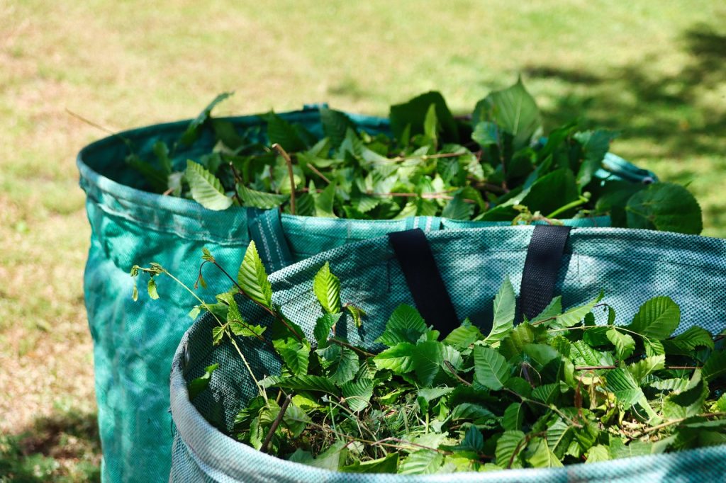 green stuff, green cuttings, gardening, nature, cut hedges, gardener, garden, container, compost, disposal, waste separation