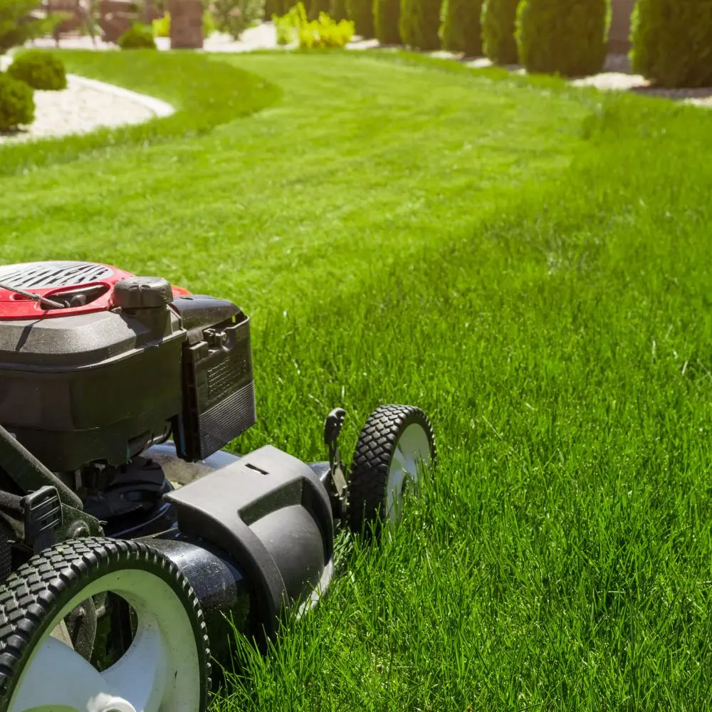 Garden maintenance service in Galway – lawn and hedge care